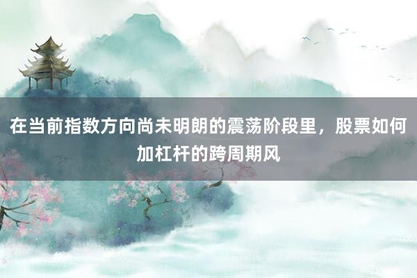 在当前指数方向尚未明朗的震荡阶段里，股票如何加杠杆的跨周期风