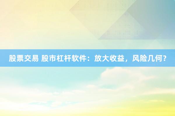 股票交易 股市杠杆软件：放大收益，风险几何？